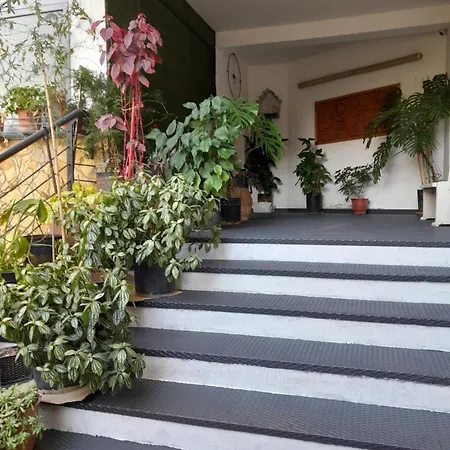 Kristi 01 ティラナ