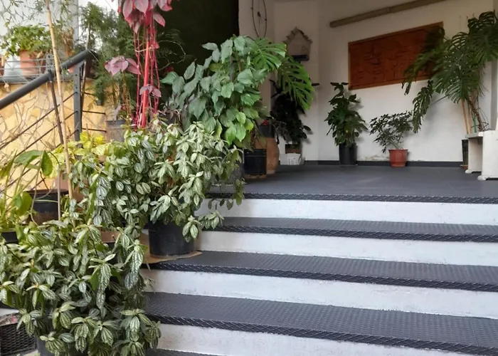 Kristi 01 ティラナ